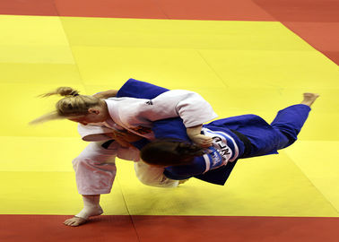 Tapis colorés à haute densité de judo de concurrence et de formation d'arts martiaux de jiu-jitsu de Bjj